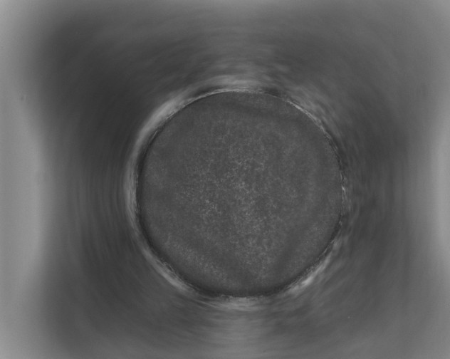 X0000111870149200908061301