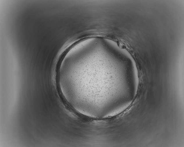 X0000111870150200908061301