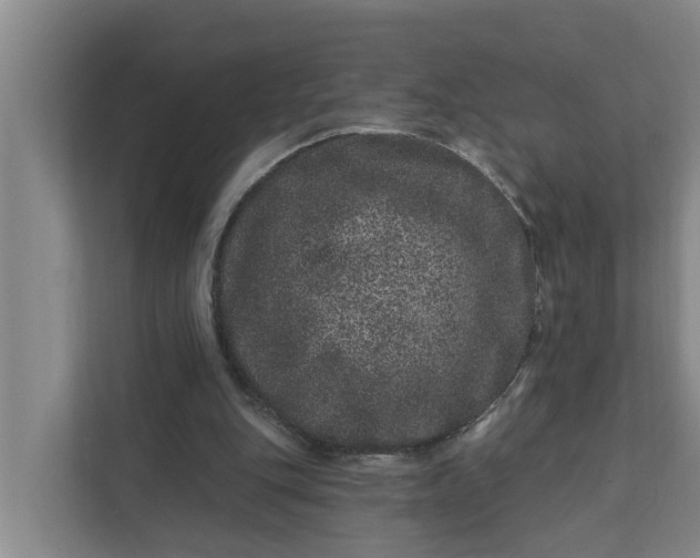 X0000111870151200908061301