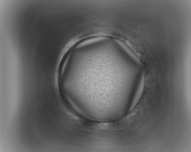 X0000111870152200908061301