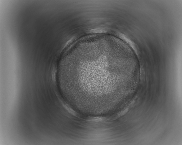 X0000111870153200908061301