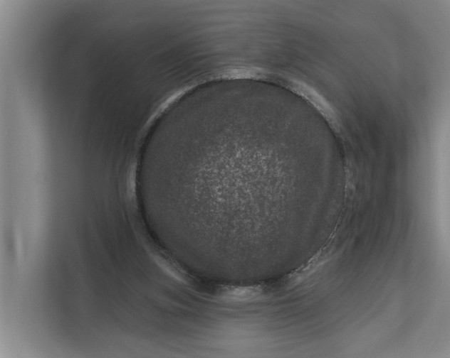 X0000111870155200908061301