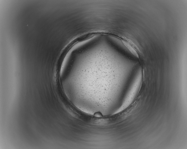 X0000111870156200908061301