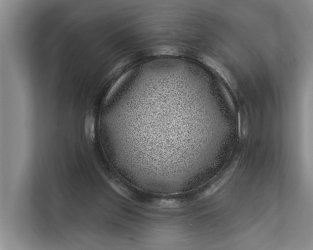 X0000111870157200908061301