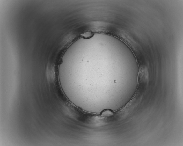 X0000111870158200908061301