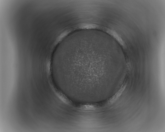 X0000111870159200908061301