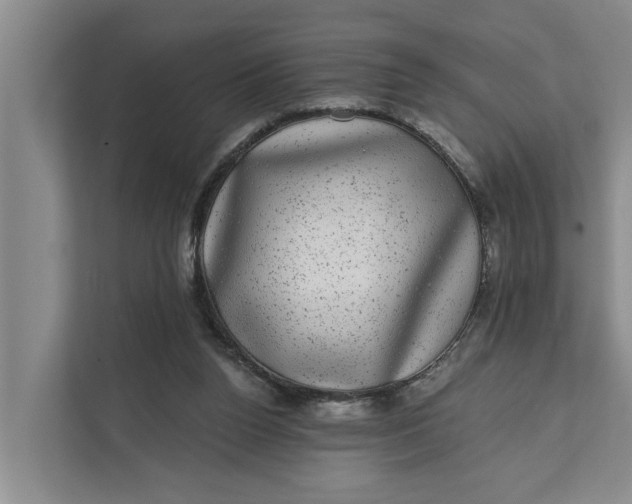 X0000111870160200908061301