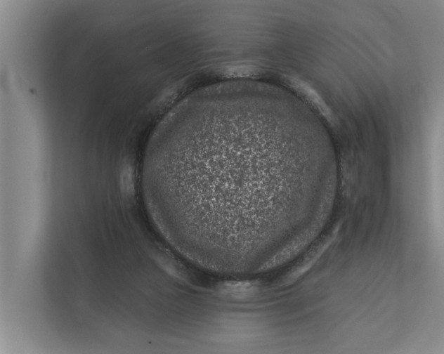 X0000111870161200908061301