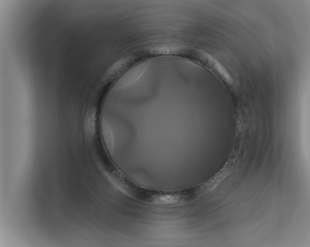 X0000111870163200908061301