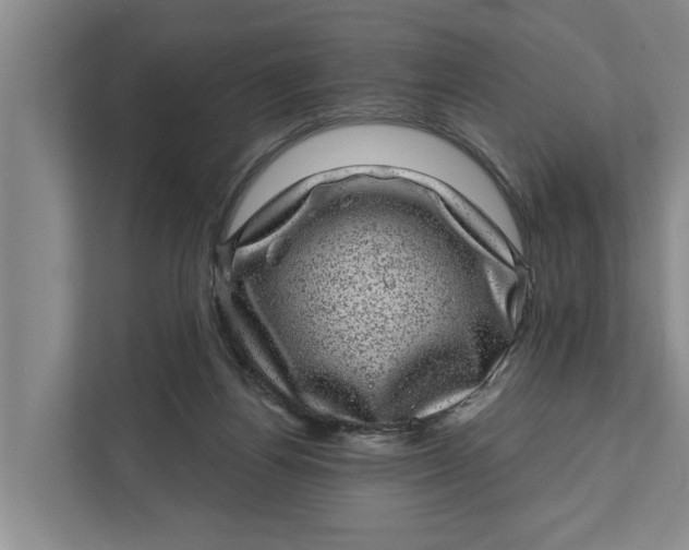 X0000111870164200908061301