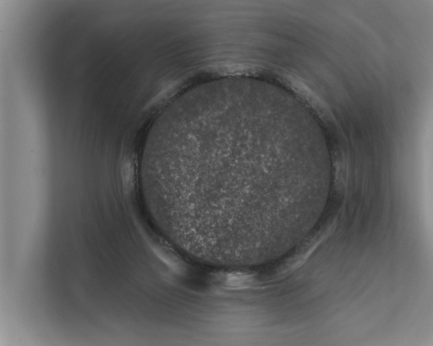 X0000111870165200908061301