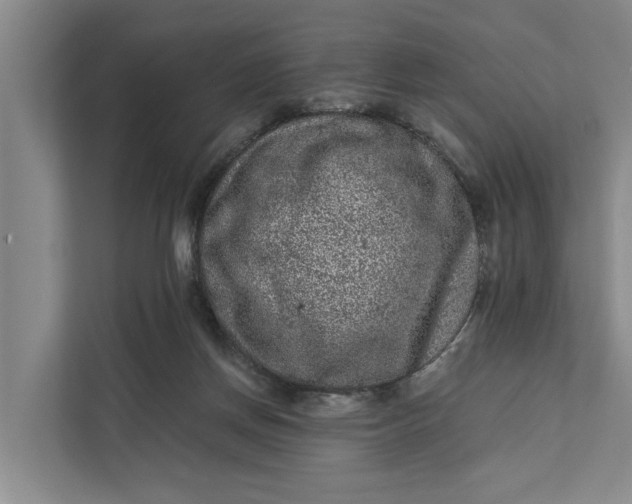 X0000111870166200908061301