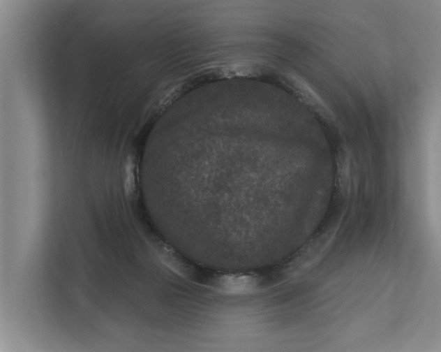 X0000111870169200908061301