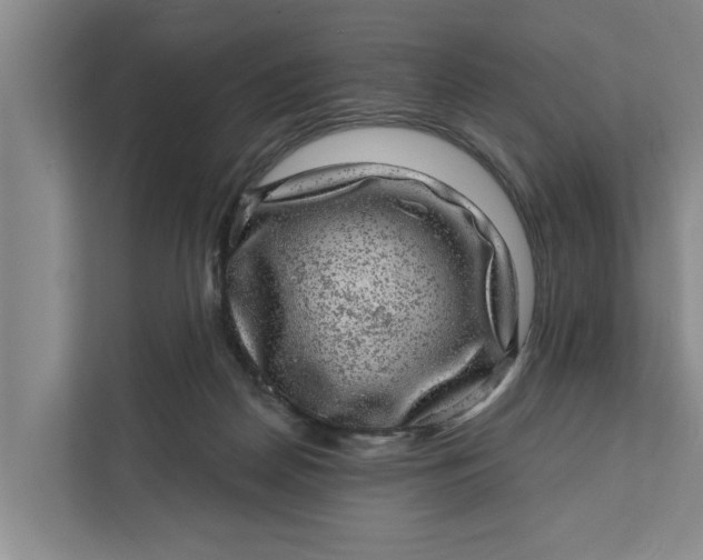 X0000111870170200908061301