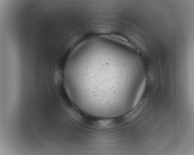 X0000111870172200908061301