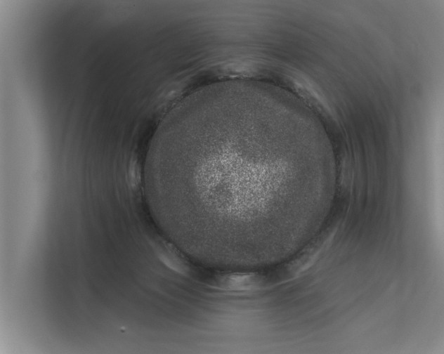 X0000111870173200908061301