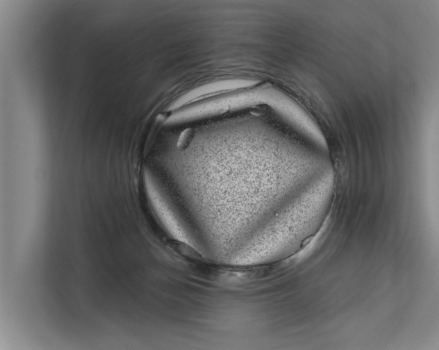 X0000111870174200908061301