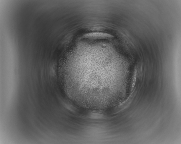 X0000111870175200908061301