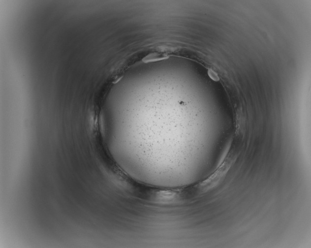 X0000111870176200908061301