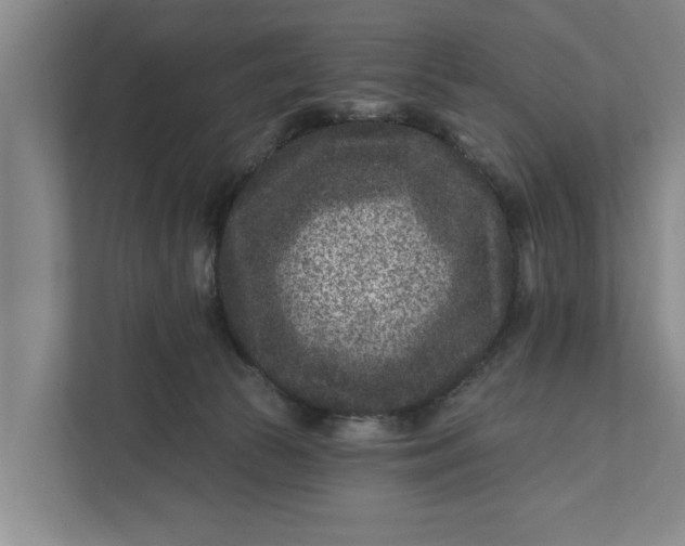 X0000111870177200908061301