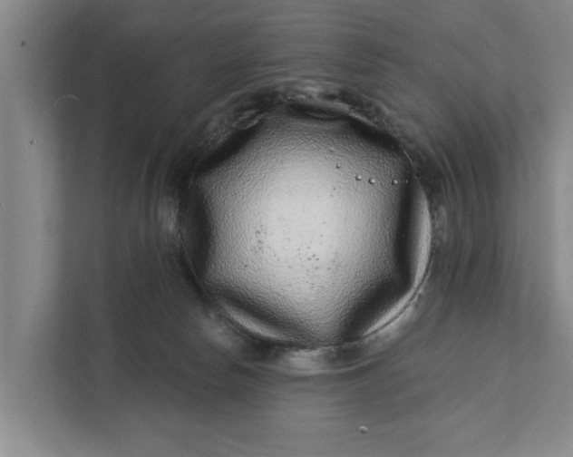 X0000111870178200908061301