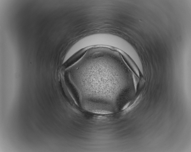 X0000111870180200908061301