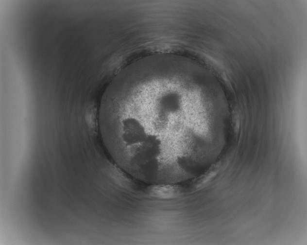 X0000111870181200908061301