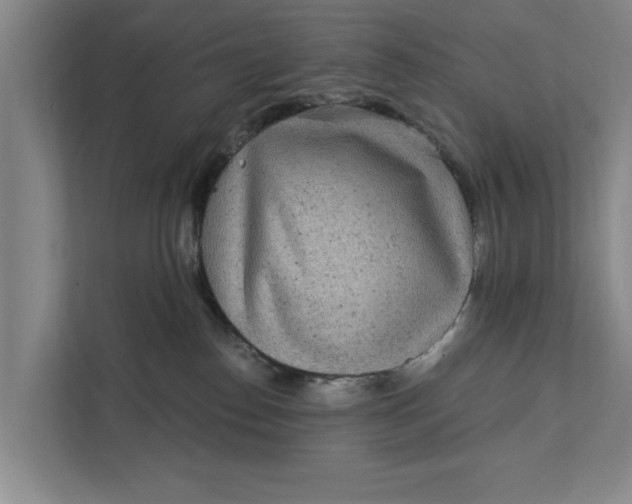 X0000111870186200908061301