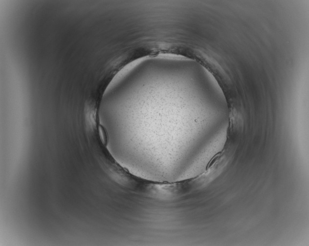 X0000111870188200908061301