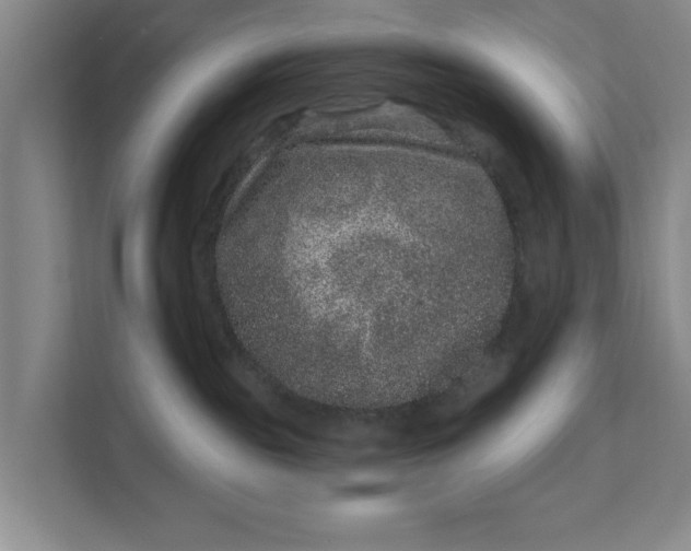 X0000111870189200908061301