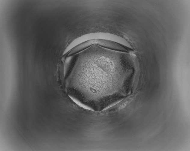 X0000111870192200908061301