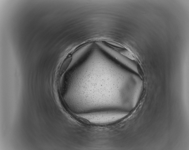 X0000111870193200908061301