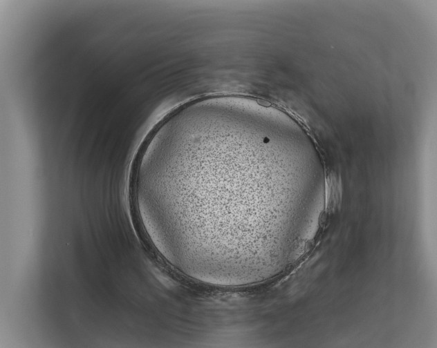 X0000111870195200908061301