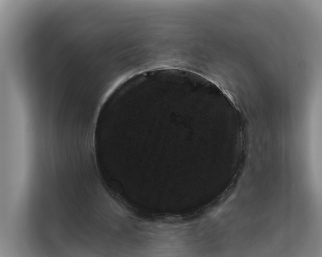 X0000111870196200908061301