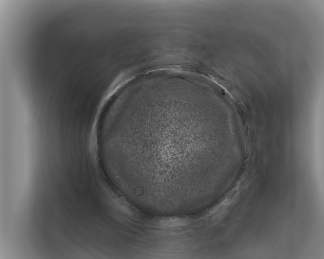 X0000111870198200908061300