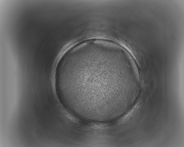 X0000111870199200908061300