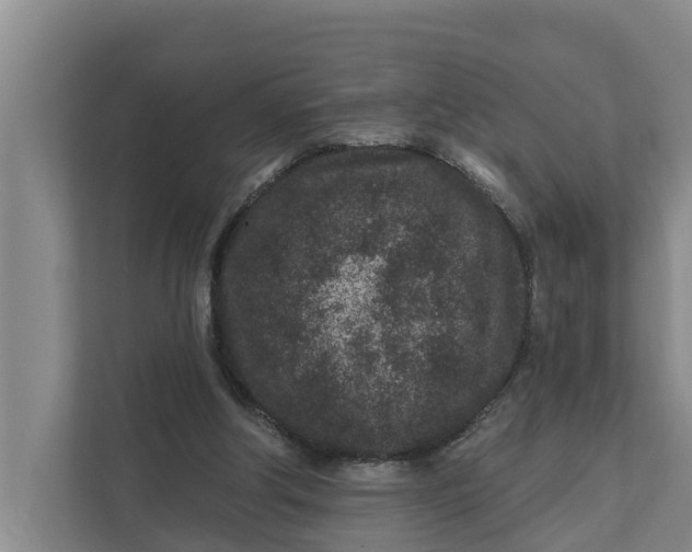 X0000111870202200908061300