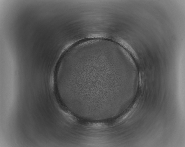 X0000111870204200908061300