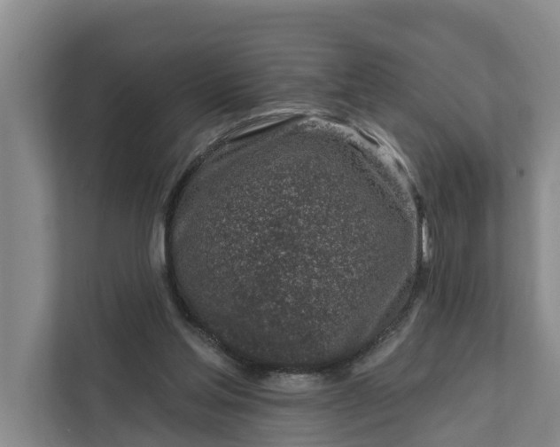 X0000111870205200908061300