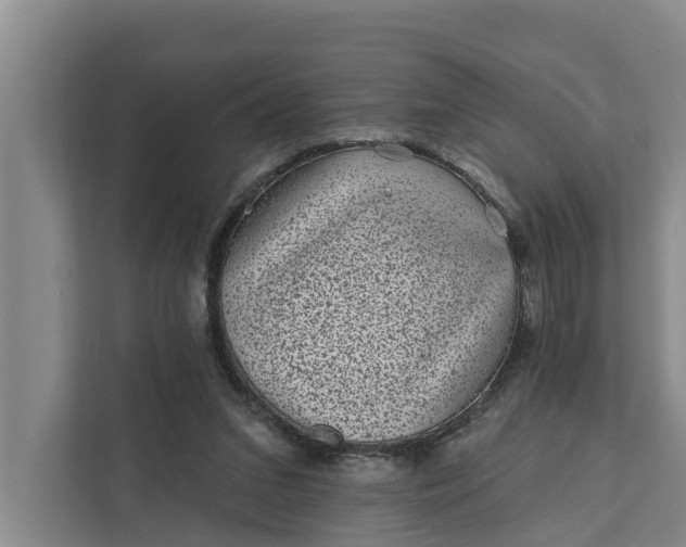 X0000111870207200908061300