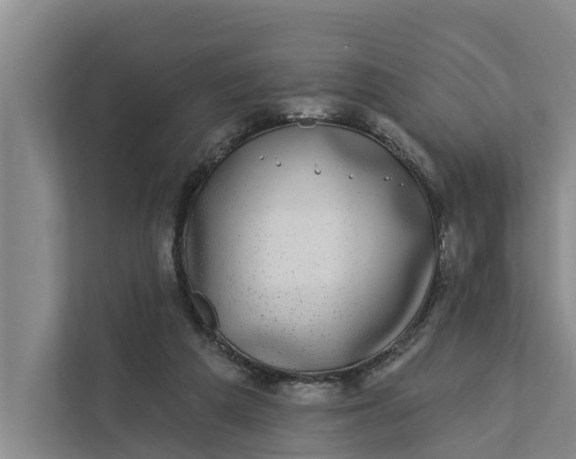 X0000111870209200908061300