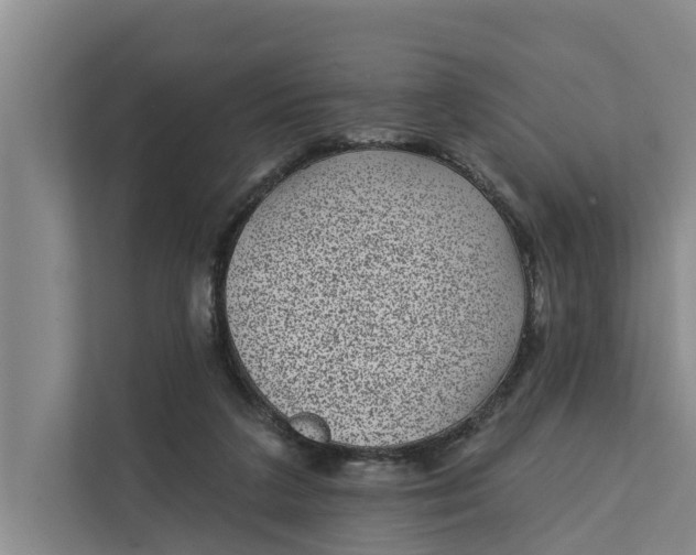 X0000111870211200908061300