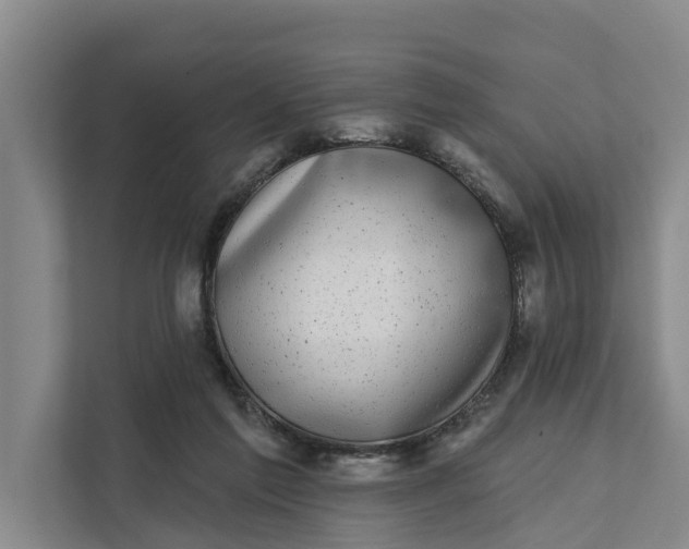 X0000111870213200908061300