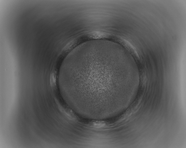 X0000111870214200908061300