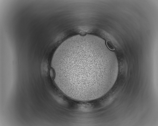 X0000111870215200908061300