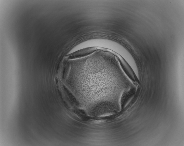 X0000111870217200908061300