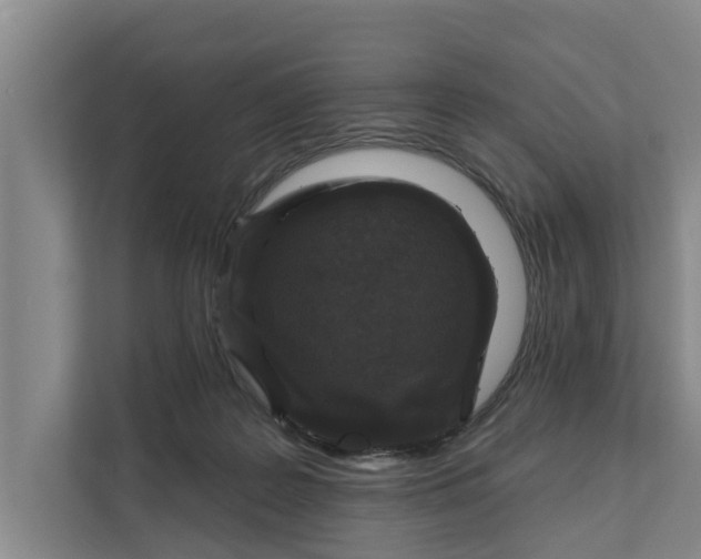 X0000111870219200908061300