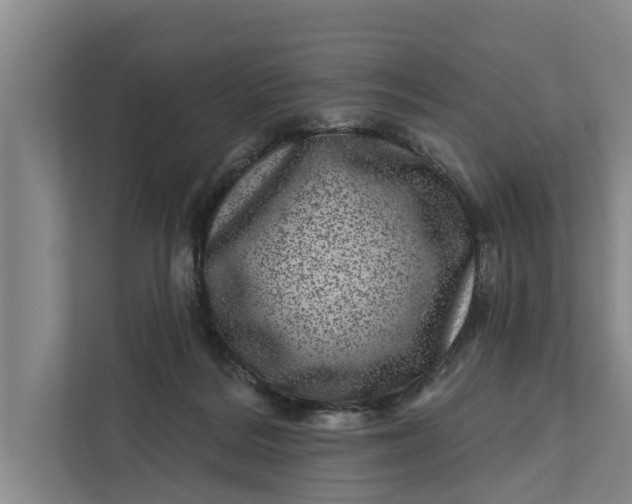 X0000111870220200908061300