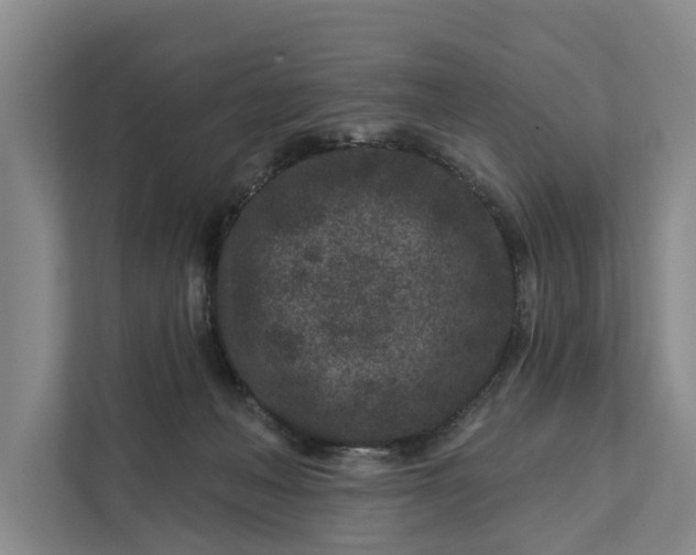 X0000111870222200908061300