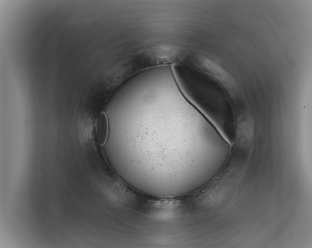 X0000111870225200908061300